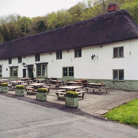Hambro Arms Hotel Milton Abbas ภายนอก รูปภาพ