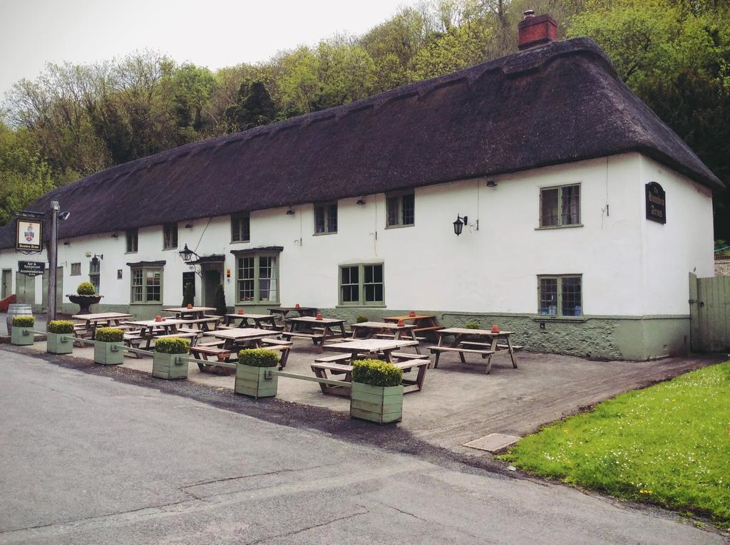 Hambro Arms Hotel Milton Abbas ภายนอก รูปภาพ