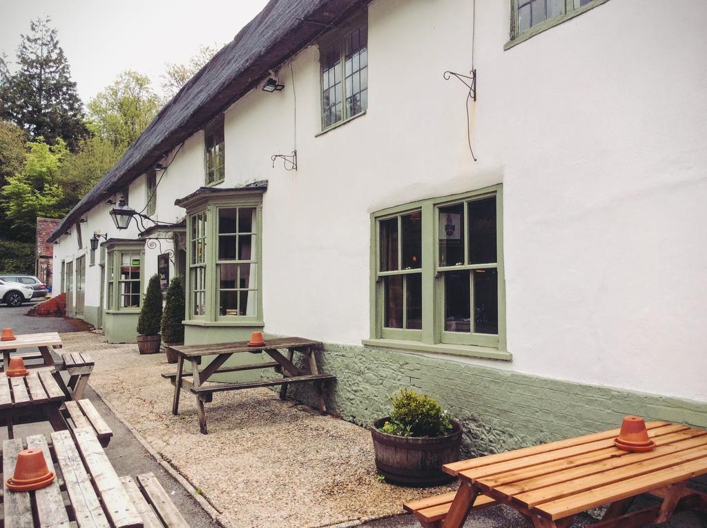 Hambro Arms Hotel Milton Abbas ภายนอก รูปภาพ