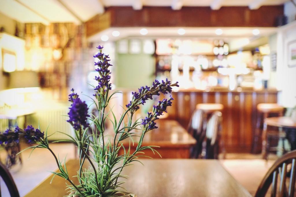 Hambro Arms Hotel Milton Abbas ภายนอก รูปภาพ