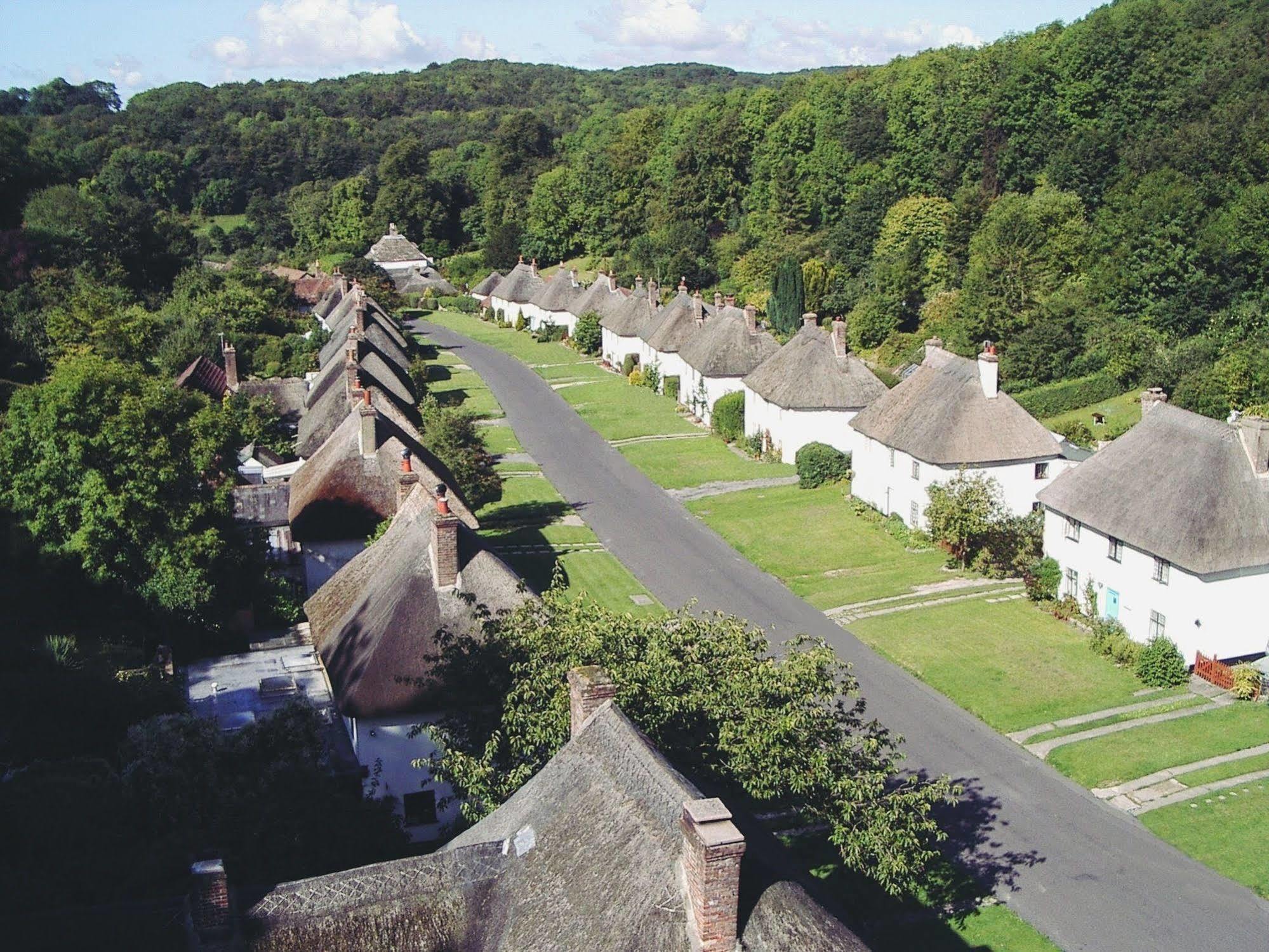 Hambro Arms Hotel Milton Abbas ภายนอก รูปภาพ